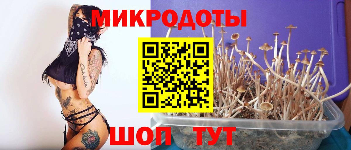 Аргун  наркошоп  Вход с VPN  Псилоцибиновые грибы мухоморы 