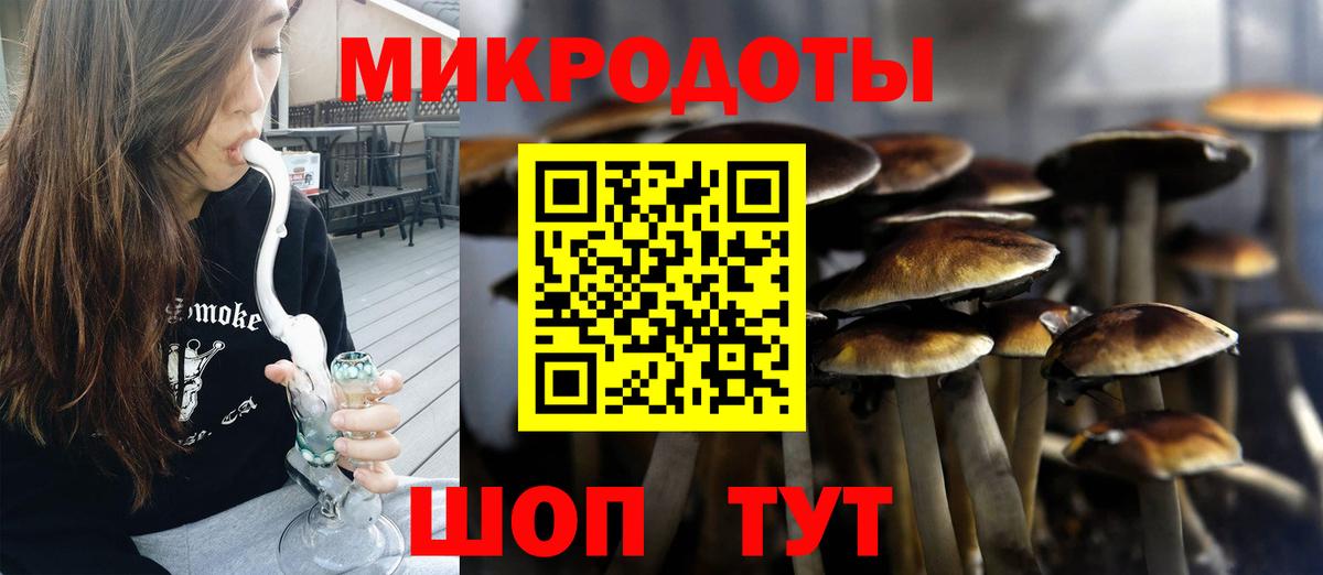 Галлюциногенные грибы мицелий Аргун