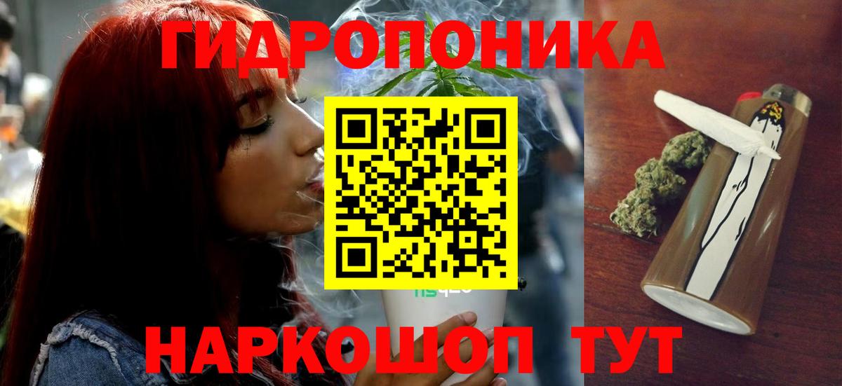 Бошки Шишки OG Kush  Бошки Шишки сатива  Марихуана конопля  Бошки Шишки VHQ  Аргун  Вход с VPN 